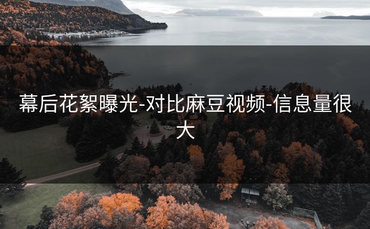 幕后花絮曝光-对比麻豆视频-信息量很大