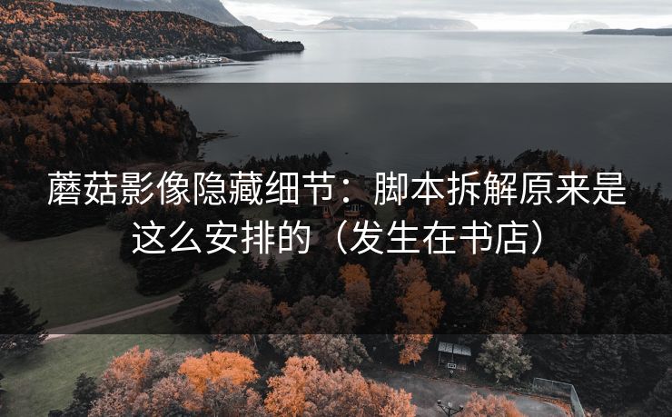 蘑菇影像隐藏细节：脚本拆解原来是这么安排的（发生在书店）